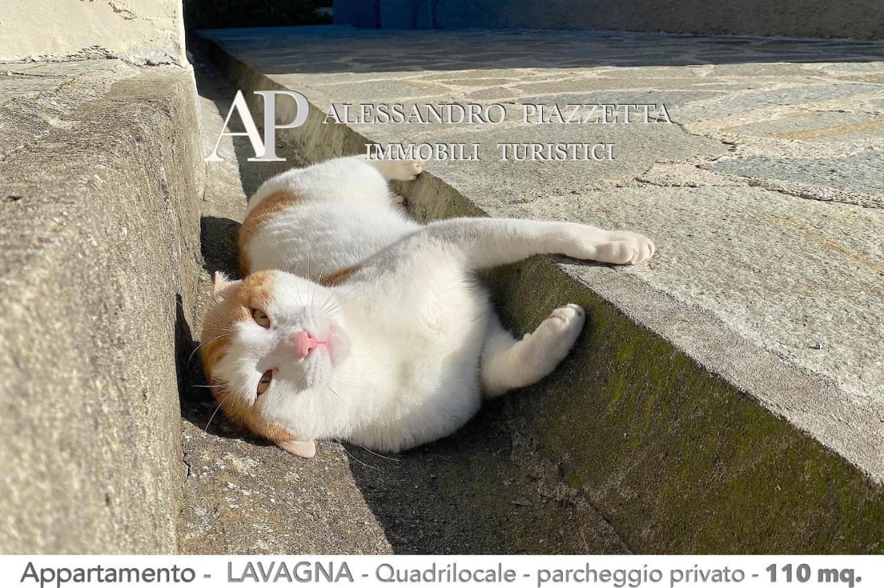 Casa Ceo Daire Lavagna Dış mekan fotoğraf